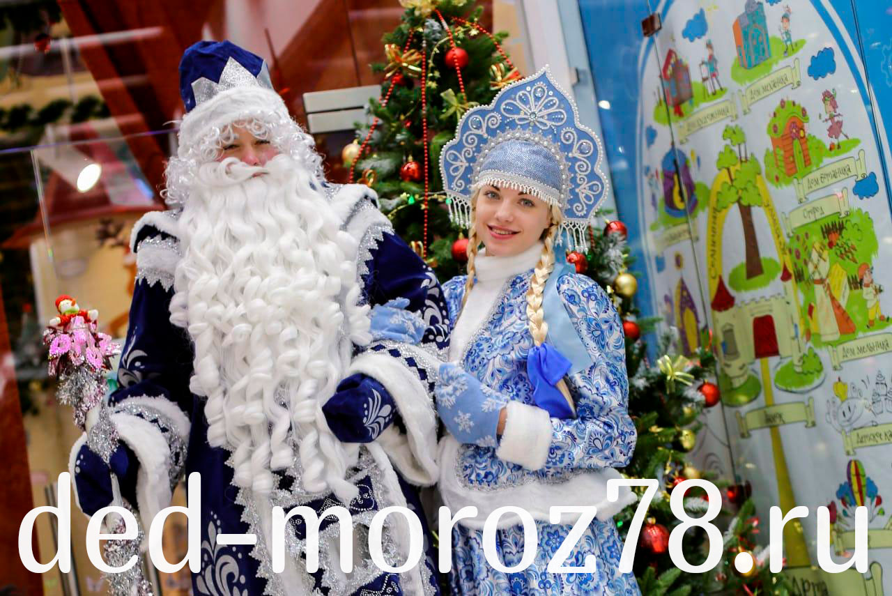 Дед Мороз со Снегурочкой на школьную Ёлку Спб